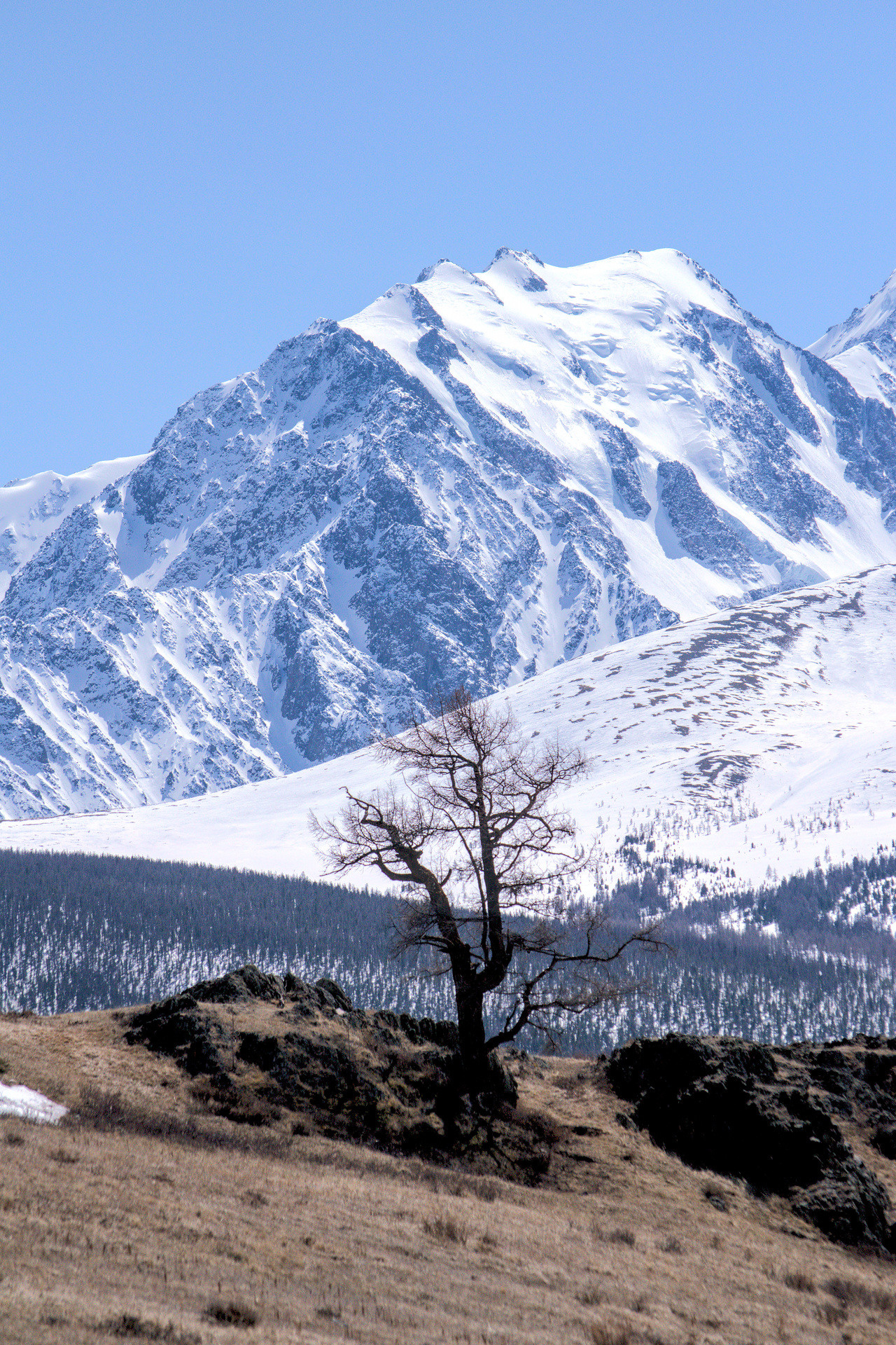 Курайская степь озеро Джангысколь