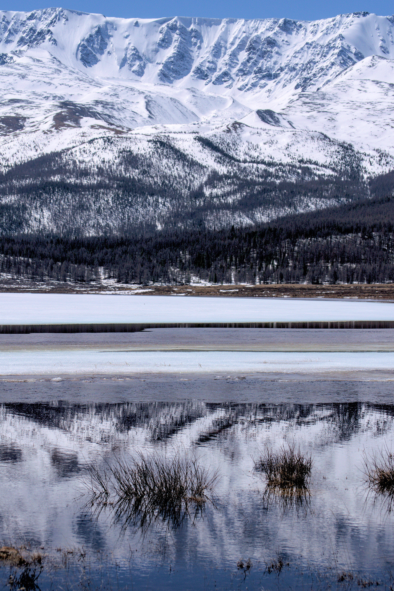 Отражение горного хребта алтая