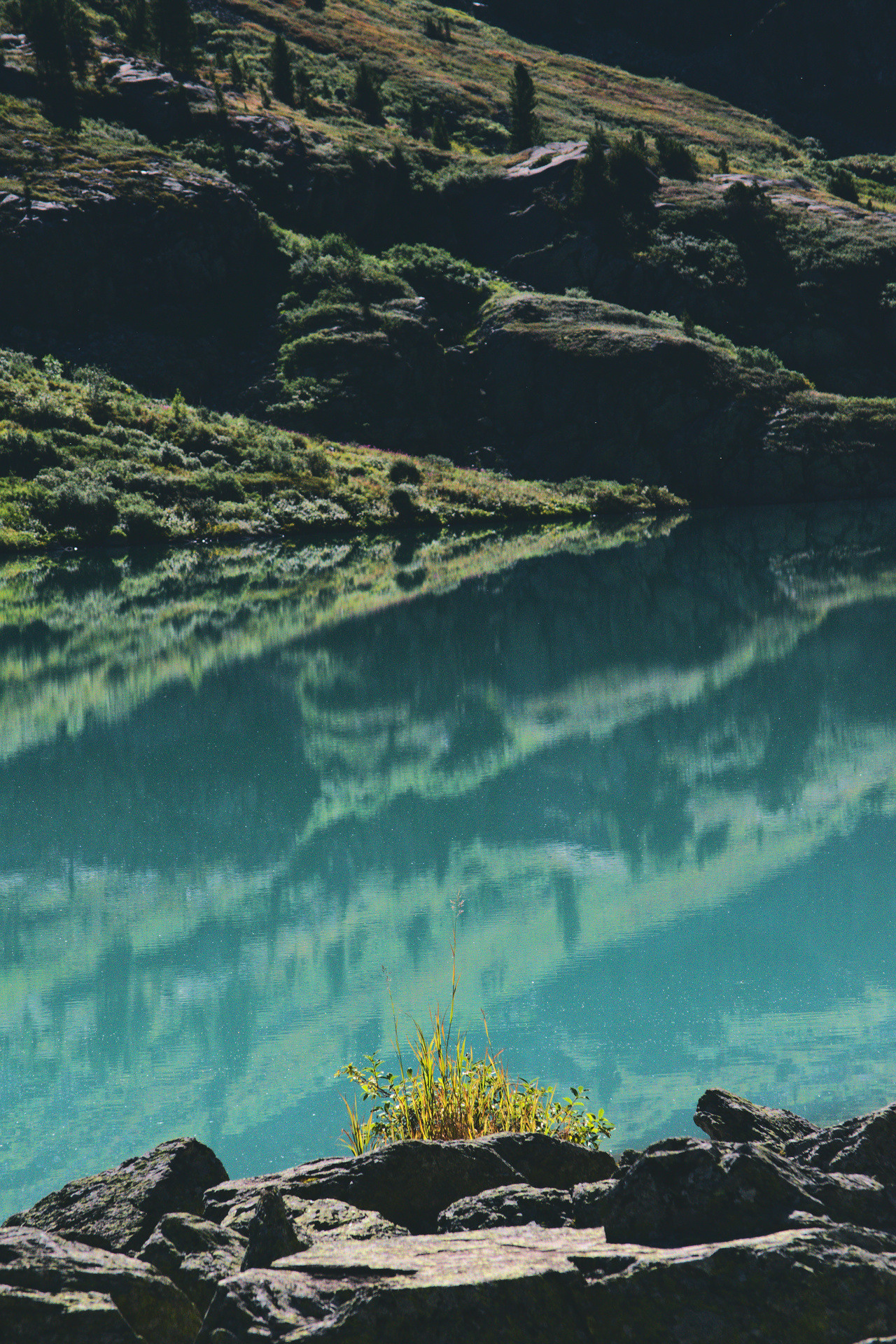 Алтай. Фотограф анималист, пейзажист, спортивные мероприятия. Новосибирск