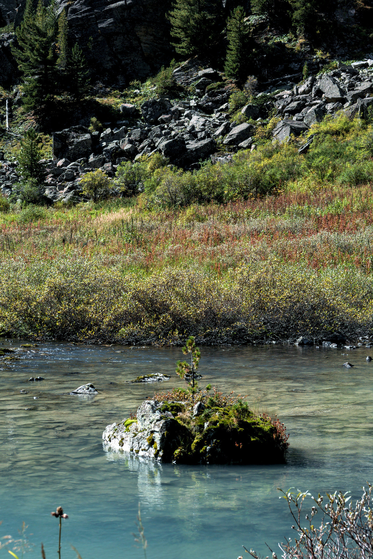 фото Алтай озеро