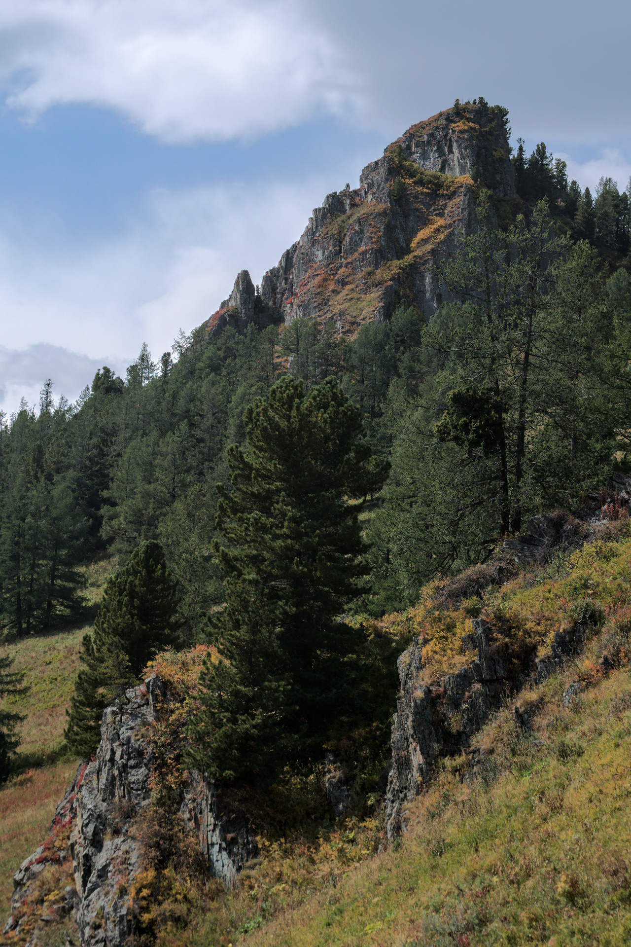 Алтай. Фотограф анималист, пейзажист, спортивные мероприятия. Новосибирск