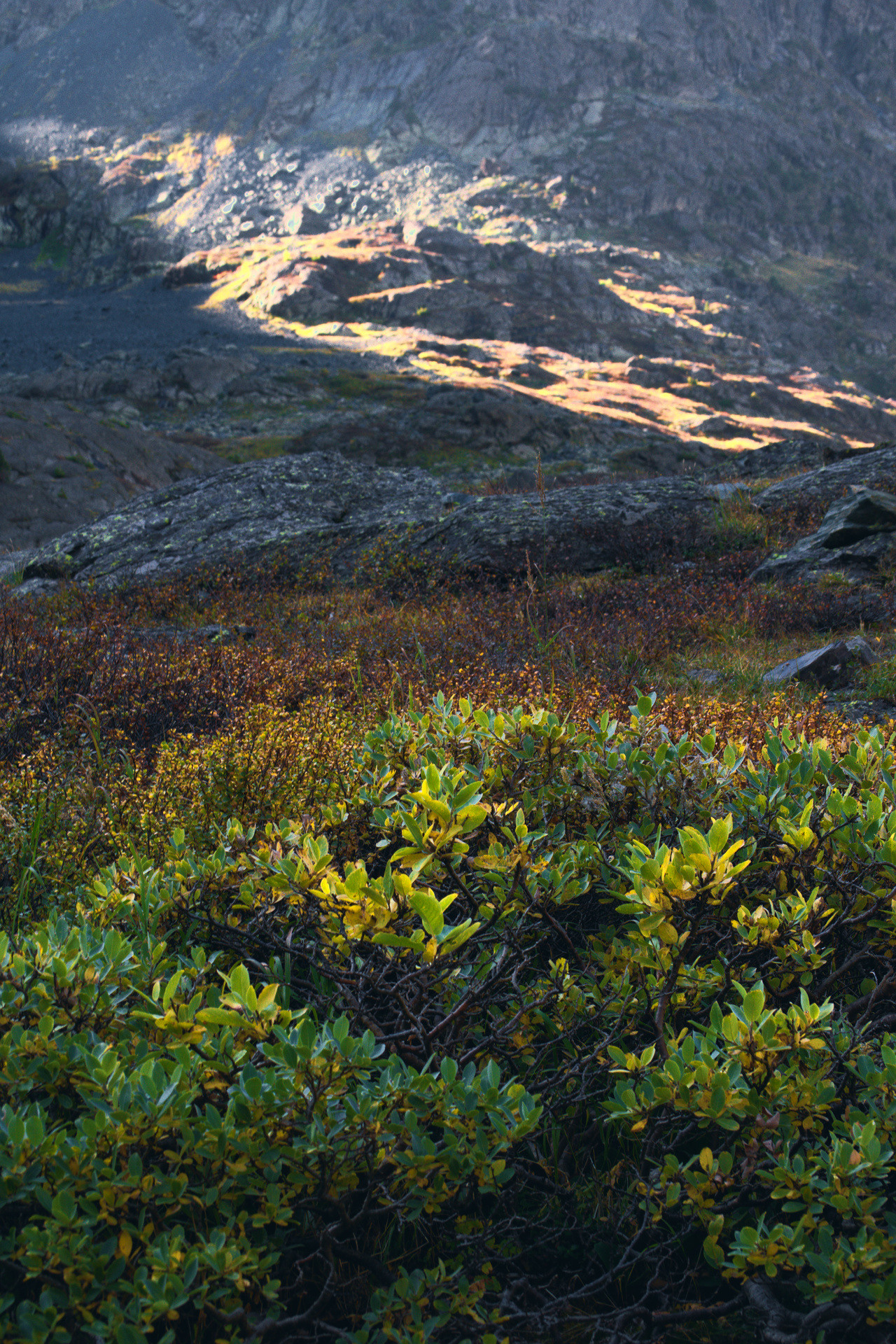Пейзажная фотография. Алтай