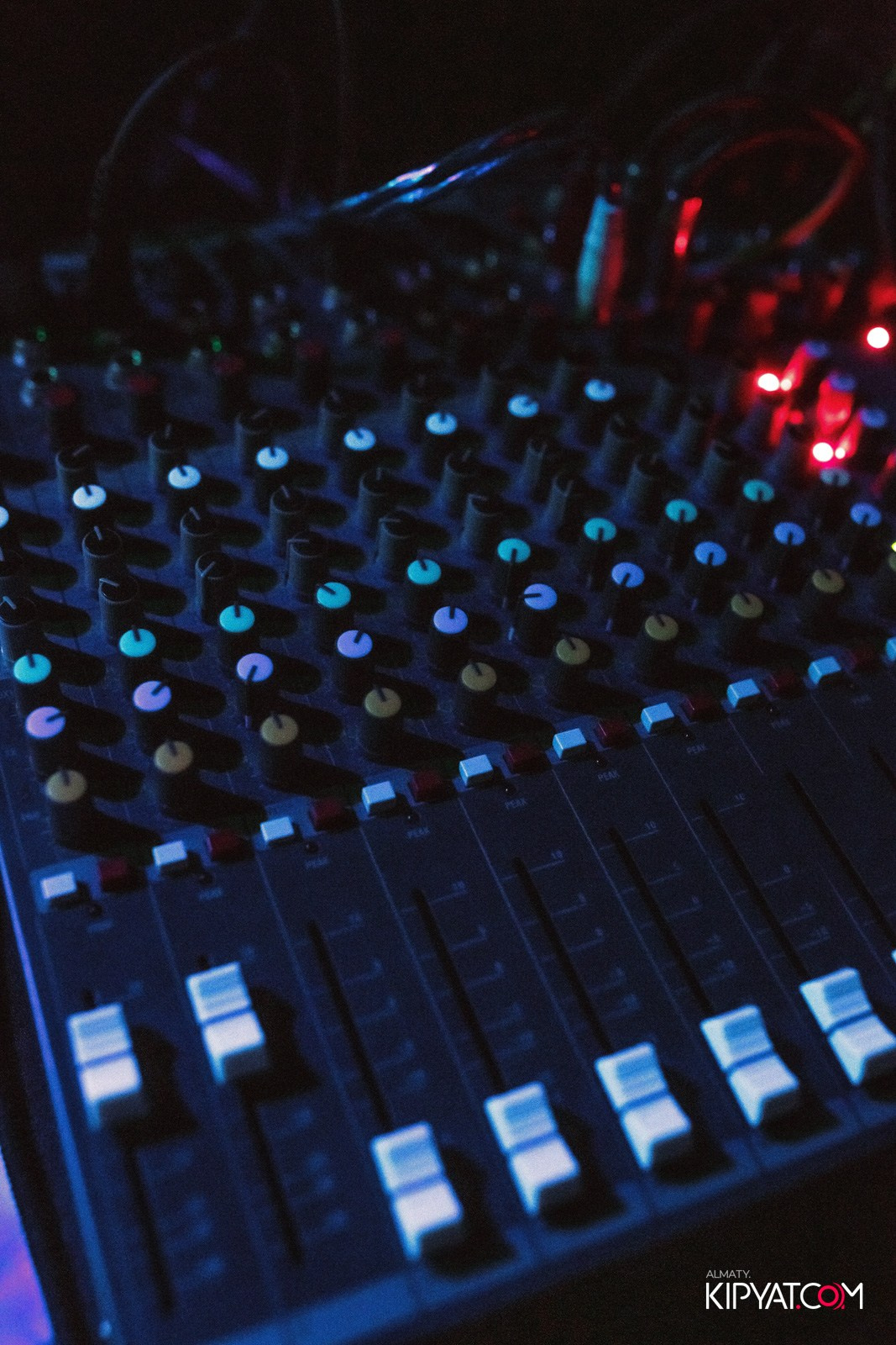 УХО И МЕДВЕДЬ НА ГАГАРИНА. КИПЯТКОМ АЛМАТЫ!