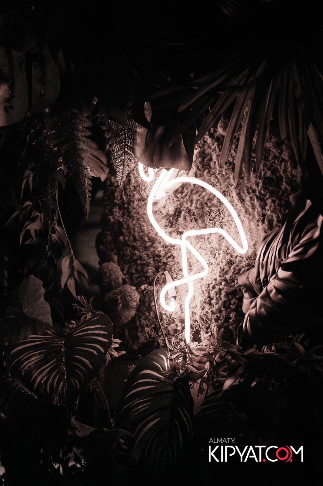 OLOVO НА САТПАЕВА. КИПЯТКОМ АЛМАТЫ!