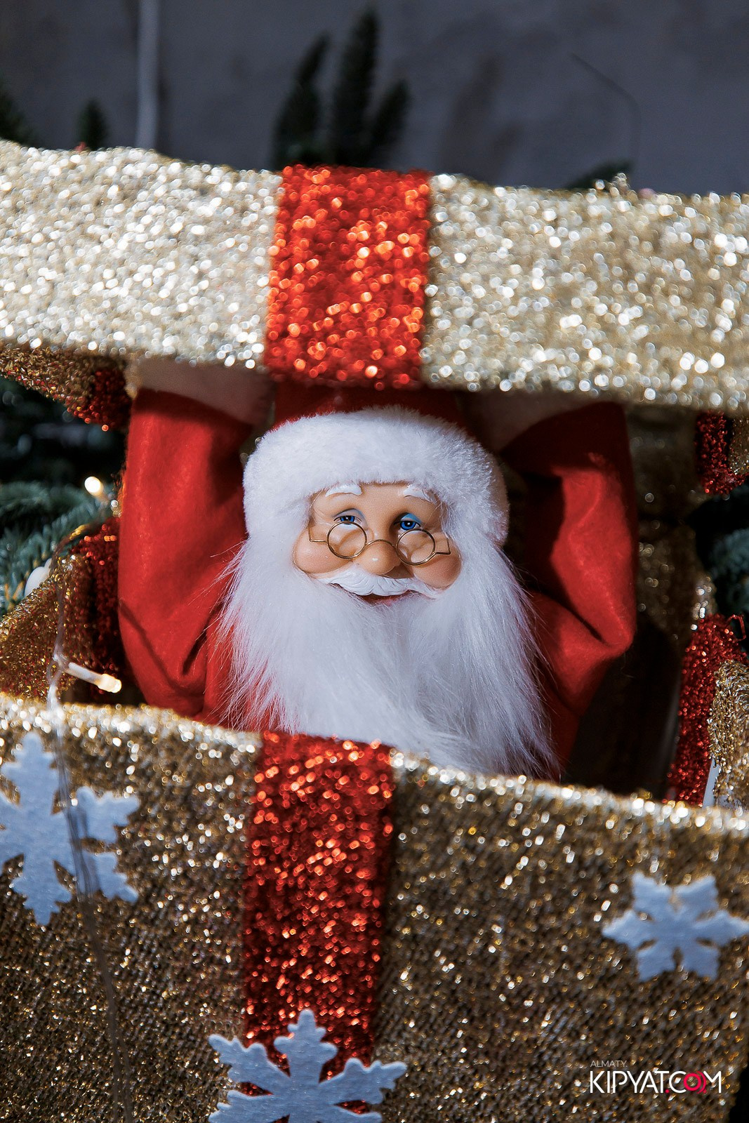 ПИНТА PREMIUM. КИПЯТКОМ АЛМАТЫ! Фотосъемка мероприятий в Алматы