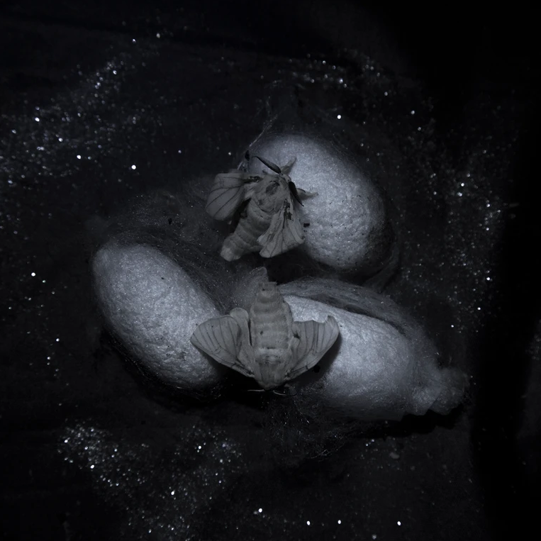 Проект Яниса Гогоса (Giannis Gogos) «In the Twinkling of an Eye». Private image