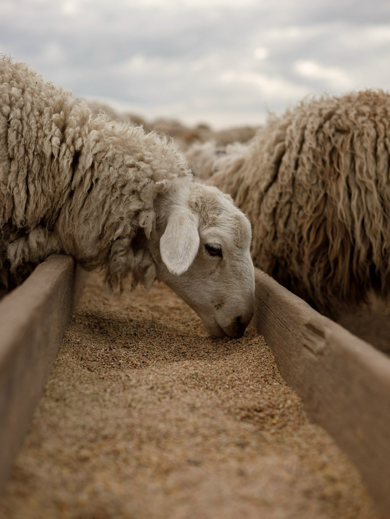 Творческая съёмка. Фотограф в Иркутске, Харитонова Елизавета