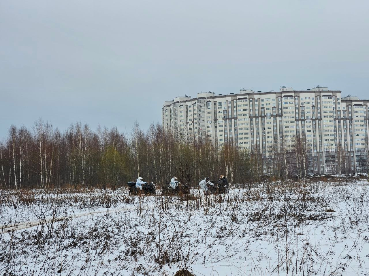 Квадрики | 24.03.24. Галерея Фантим