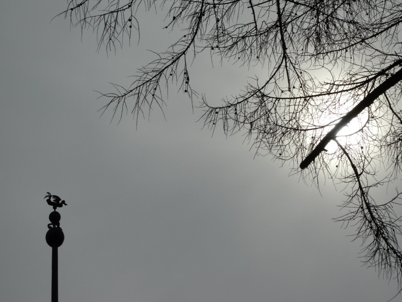 Середниково — Piligrim Porto — Братцево — Сходненская чаша | 09.04.2016. Галерея Фантим