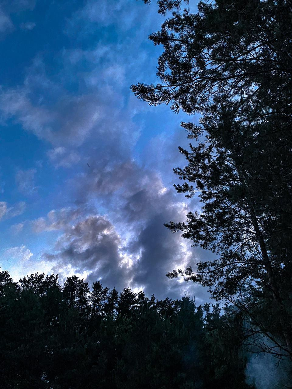 Походная Романтика 34. Давай Гавай!. Галерея Фантим