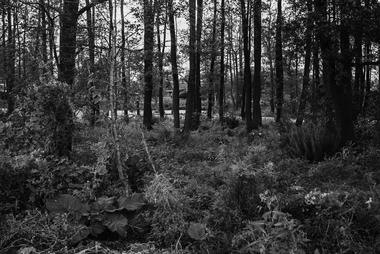 Sedimentation. Пылина Ирина — современная фотография