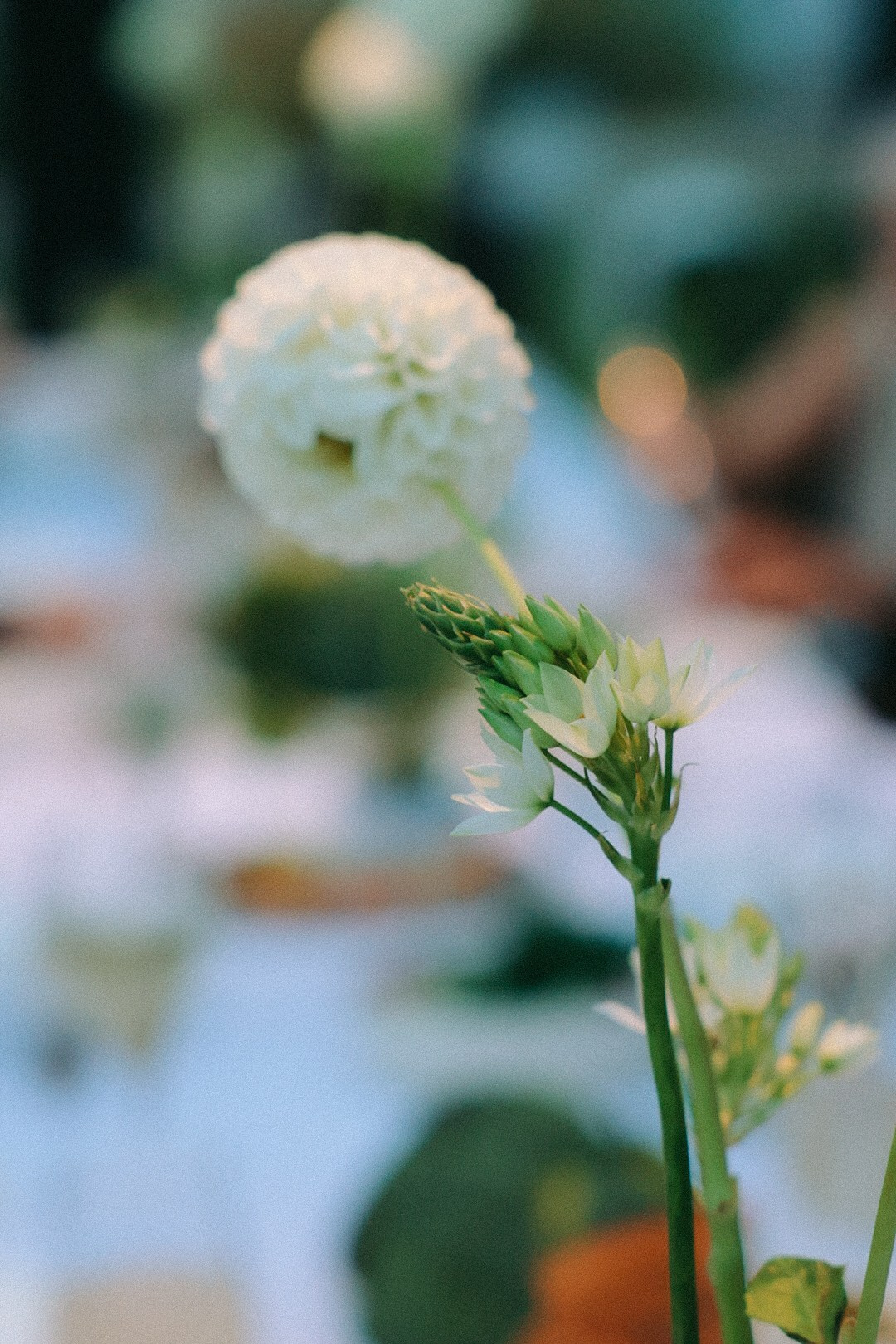 Wedding dinner. Фотограф Нижний Новгород