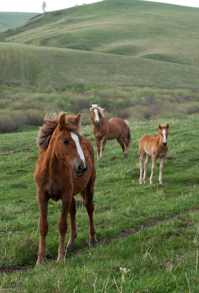 Фотокниги. Холсты. Печать