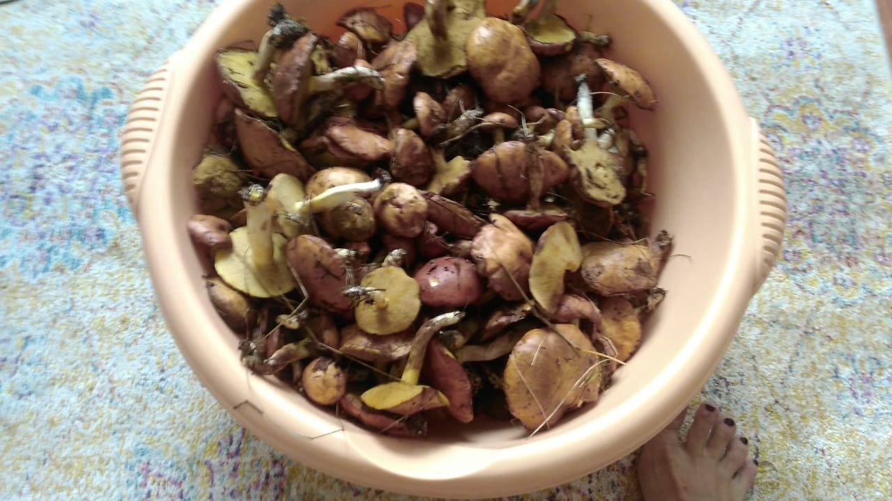 Походная романтика 28! Шабаш | 13-15.07.2018. Галерея Фантим