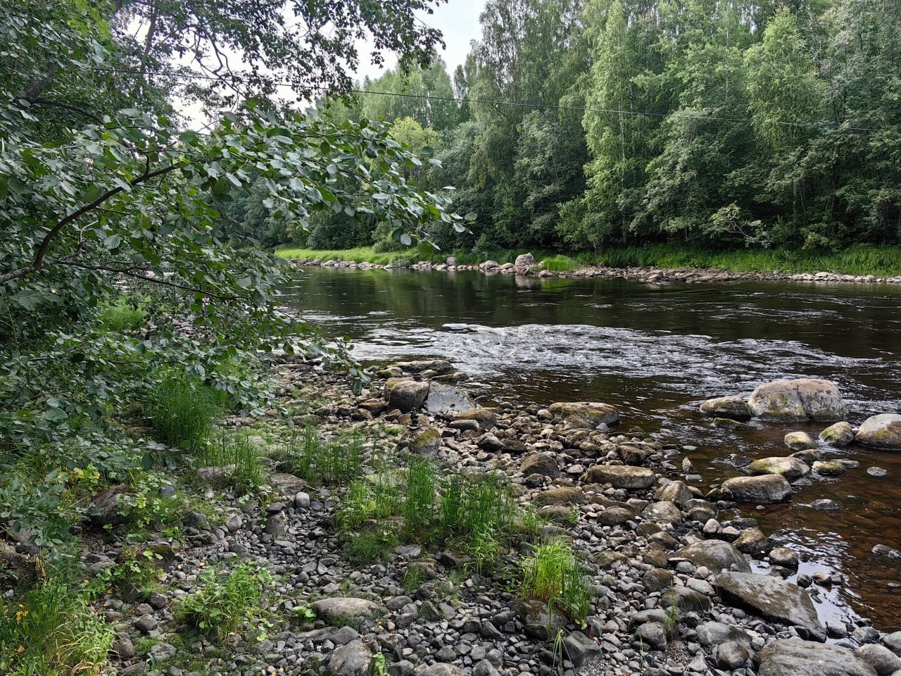 Карелия | 16-18.08.24. Галерея Фантим