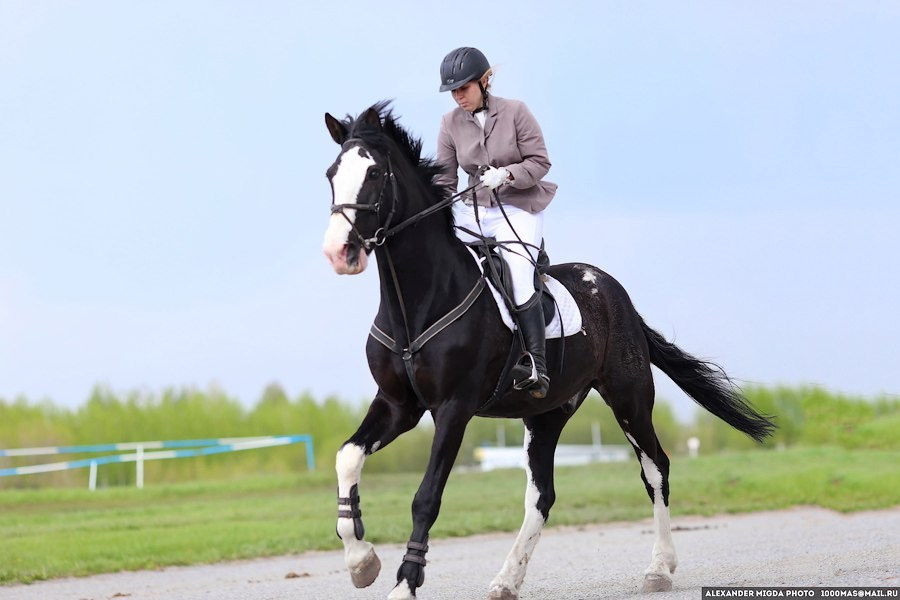 Лошади на ипподроме, фотограф на мероприятие