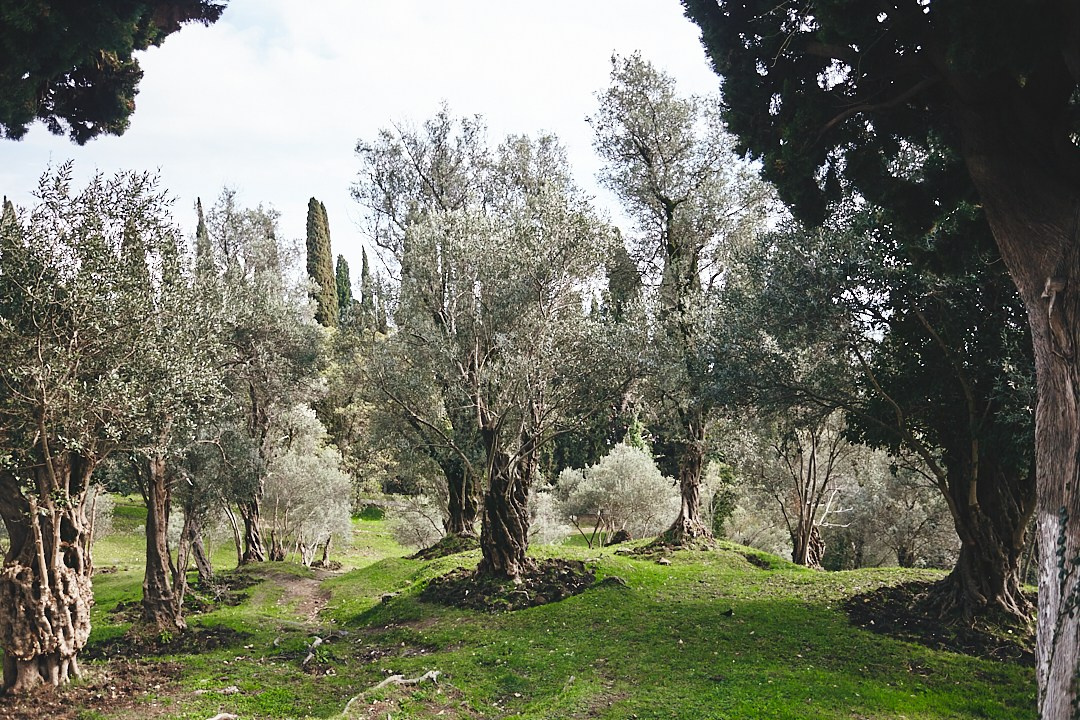 Фотографии с поездки в Абхазию в Новый Афон. Фотограф в Сочи Катя Гончарова