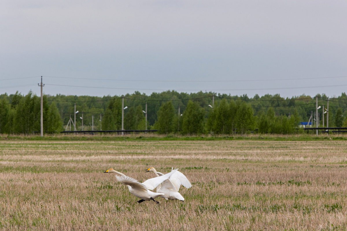 Rosatom Nedra. Павел Маркелов, фотограф