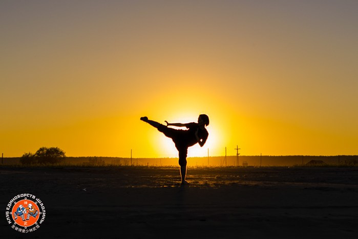 Цигун и гунфу. Лилия Гоца. Гунфу Шаолинь. Арт-фотография. Ретриты