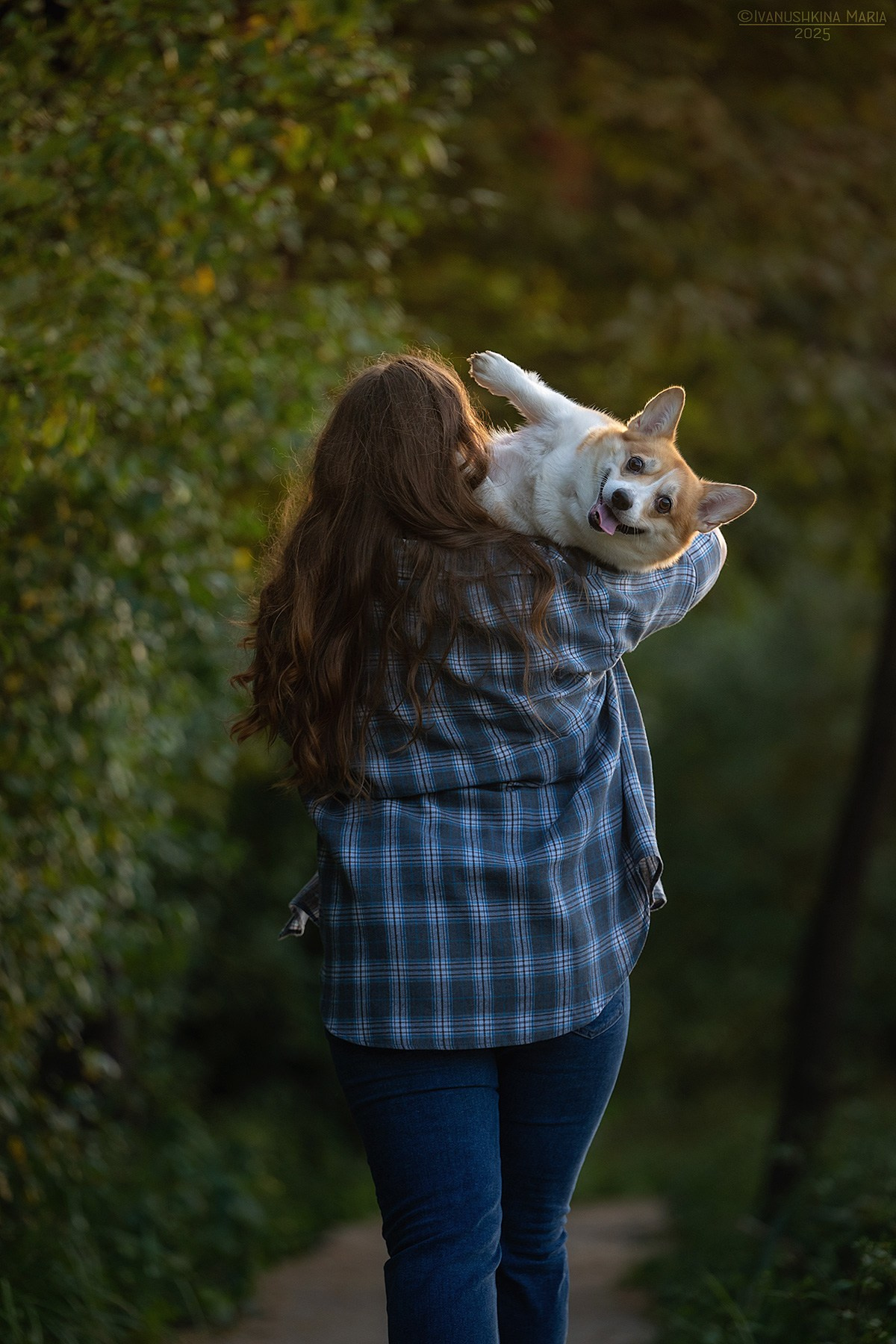 Фотосессия с собакой. Фотограф собак в Москве и Московской области Иванушкина Мария