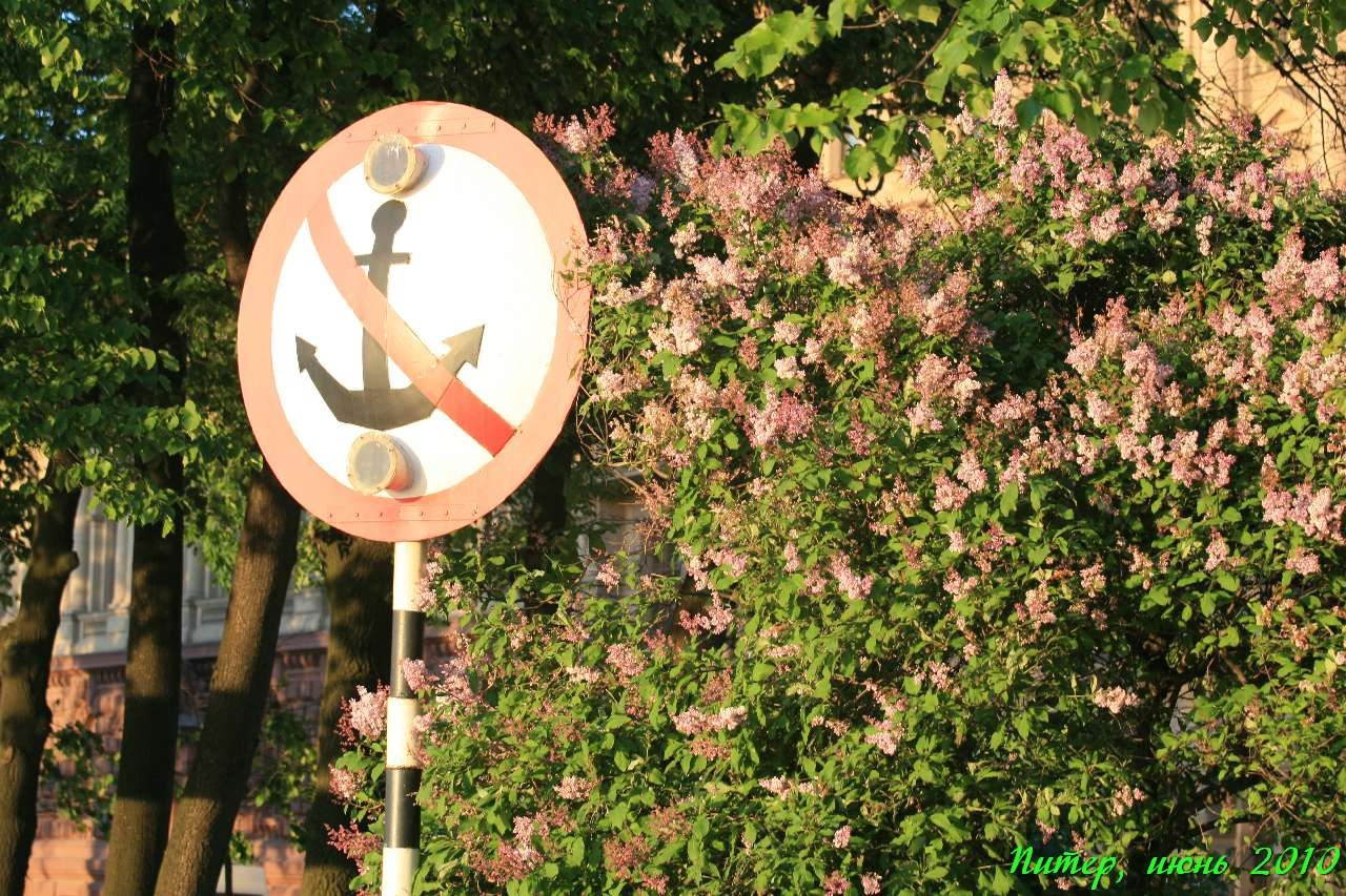 Питер 2010 г. Улица, люди, жизнь…