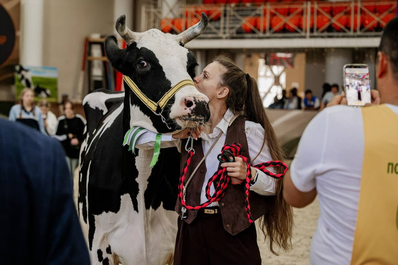 Звёзды Подмосковья — 2025. Куракина Дарья • Конный фотограф