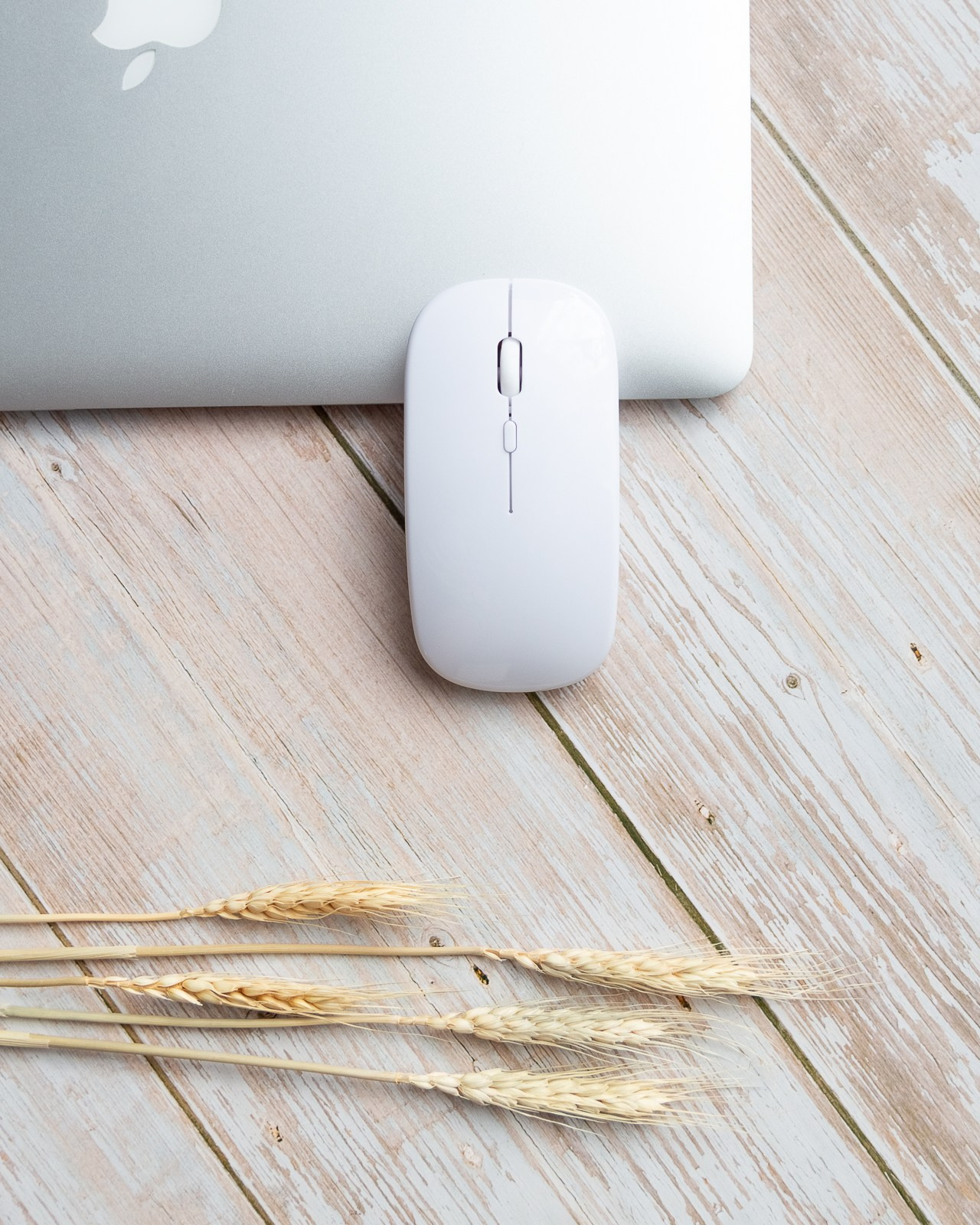 Фотографии для озон WB. КОНТЕНТ |БРЕНД фотограф Санкт-Петербург — Жанна Олтаржевская