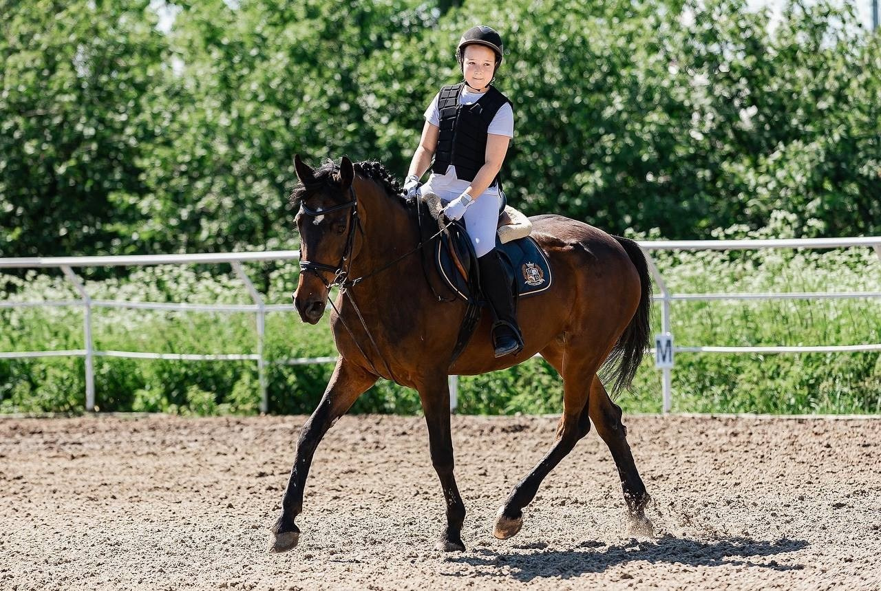 КОНКУР в КСК «Black Horse», 1 этап. Конный фотограф Куракина Дарья • Фотосессии с лошадьми