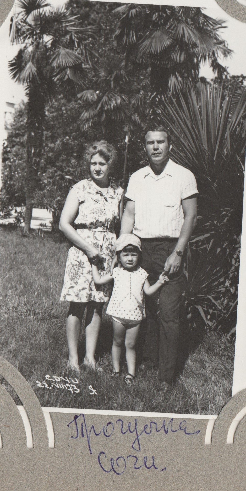 Фотография с пальмой. Курортное дело