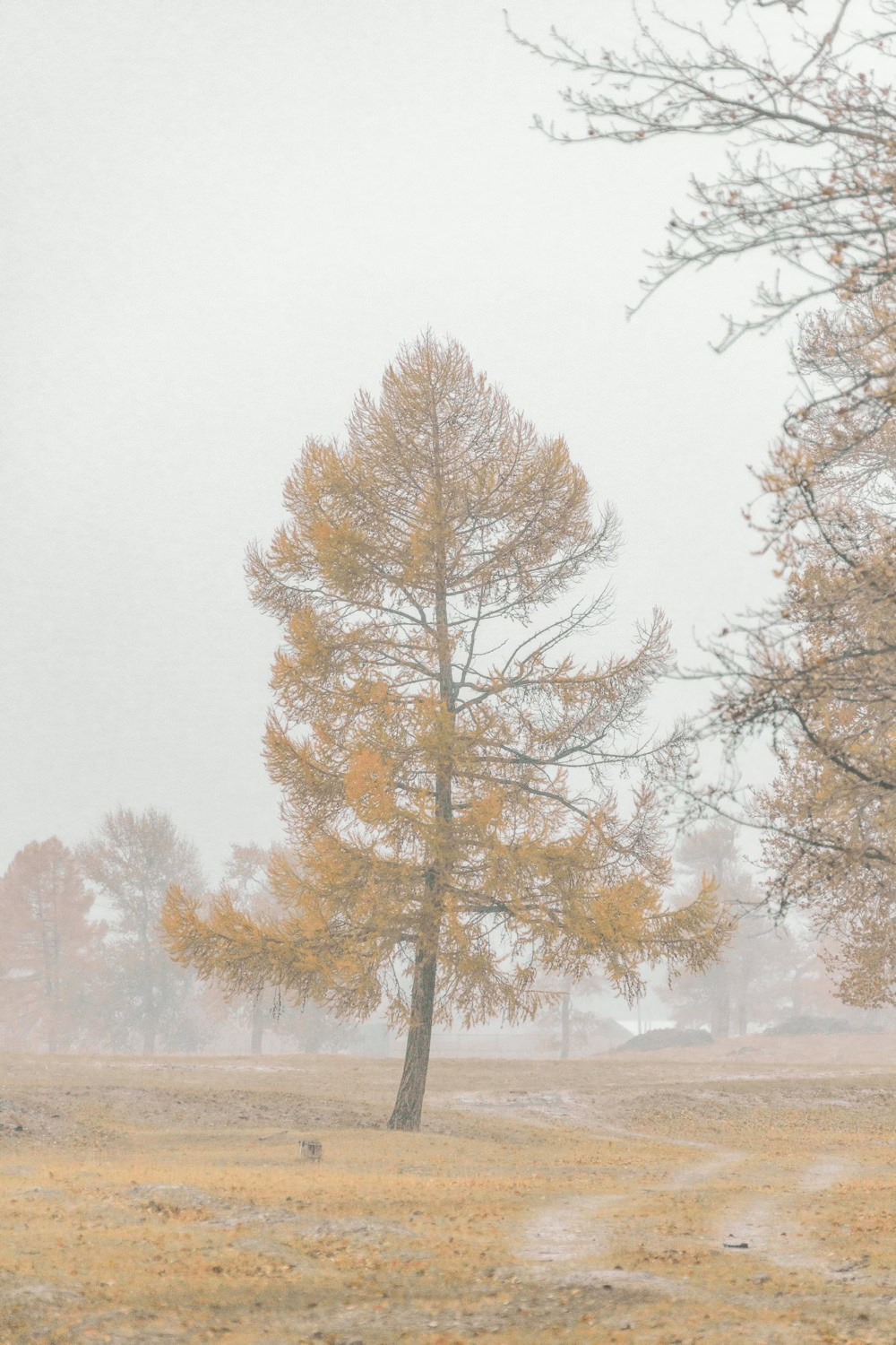 Altai Dream — personal project of photographer Vadim Sherbakov. Vadim Sherbakov Portfolio