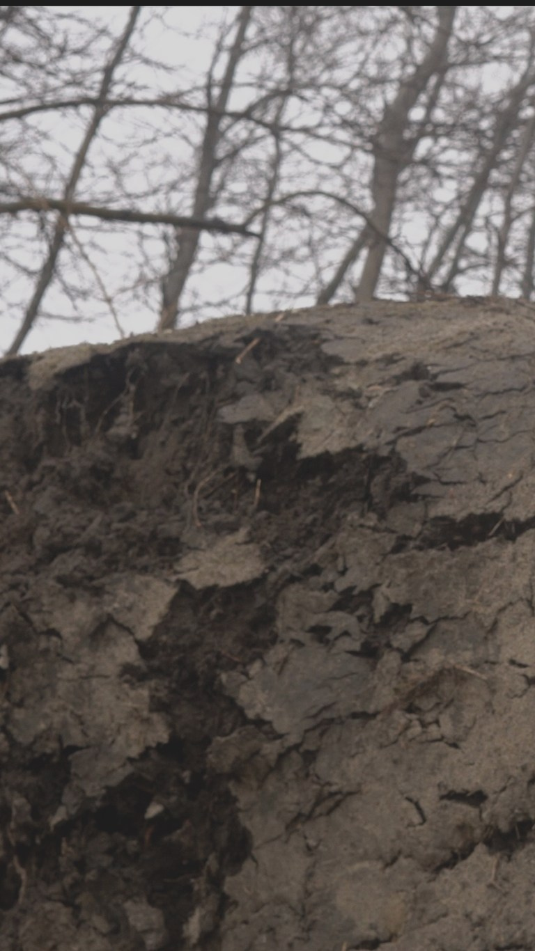 СОННАЯ АРТЕРИЯ. Художественная группа «Нежные Бабы»