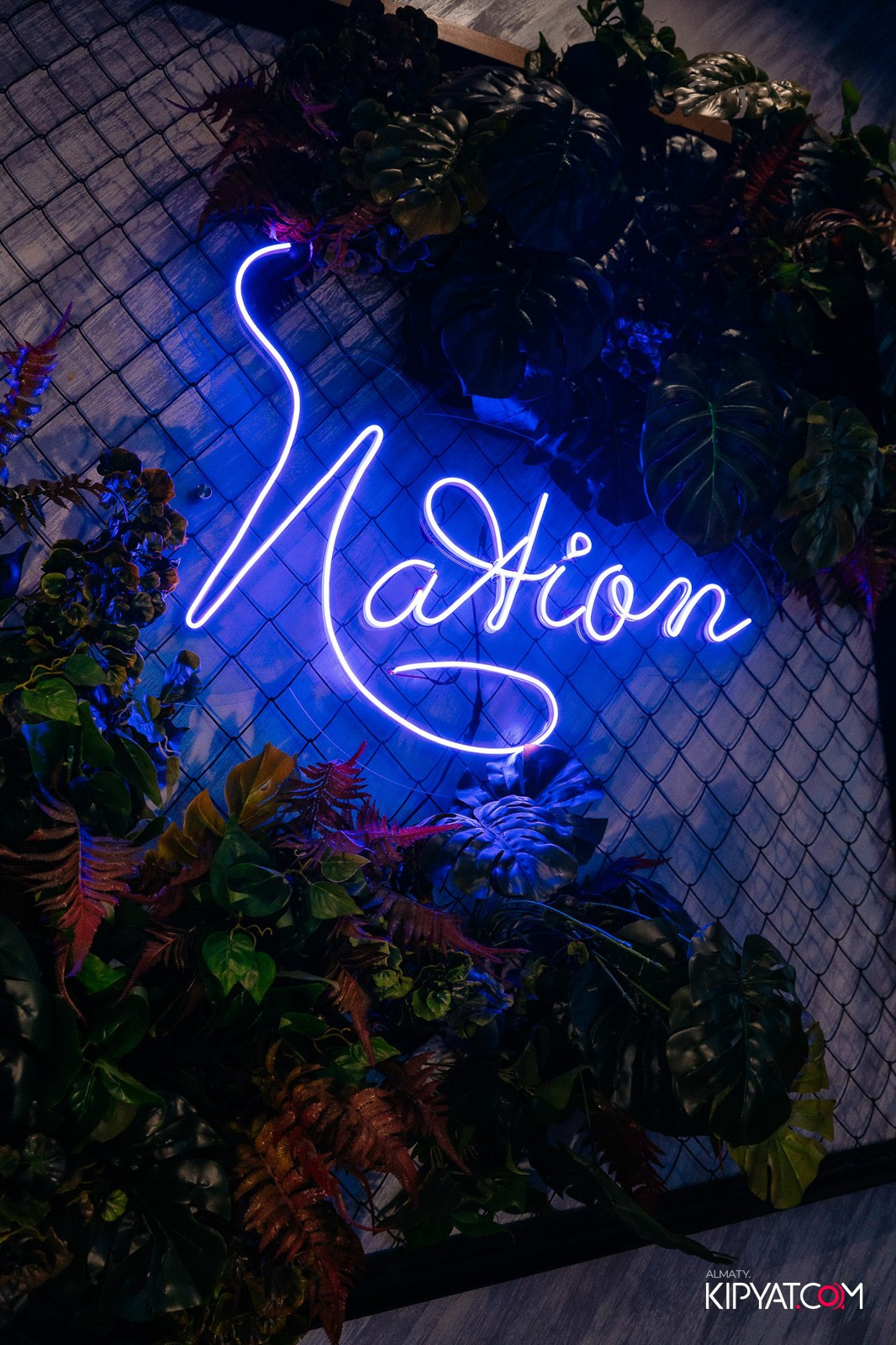 ДОРОГАЯ, Я НЕ ПИЛ. КИПЯТКОМ АЛМАТЫ!