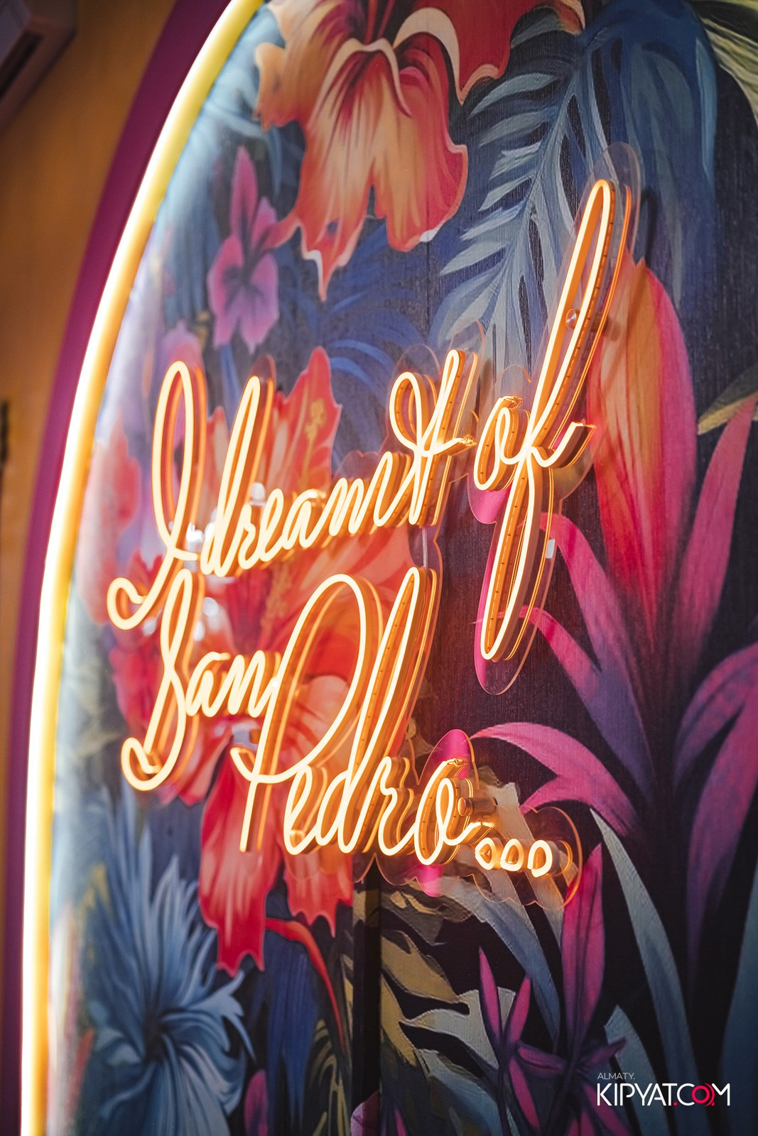 УХО И МЕДВЕДЬ НА САИНА. КИПЯТКОМ АЛМАТЫ!