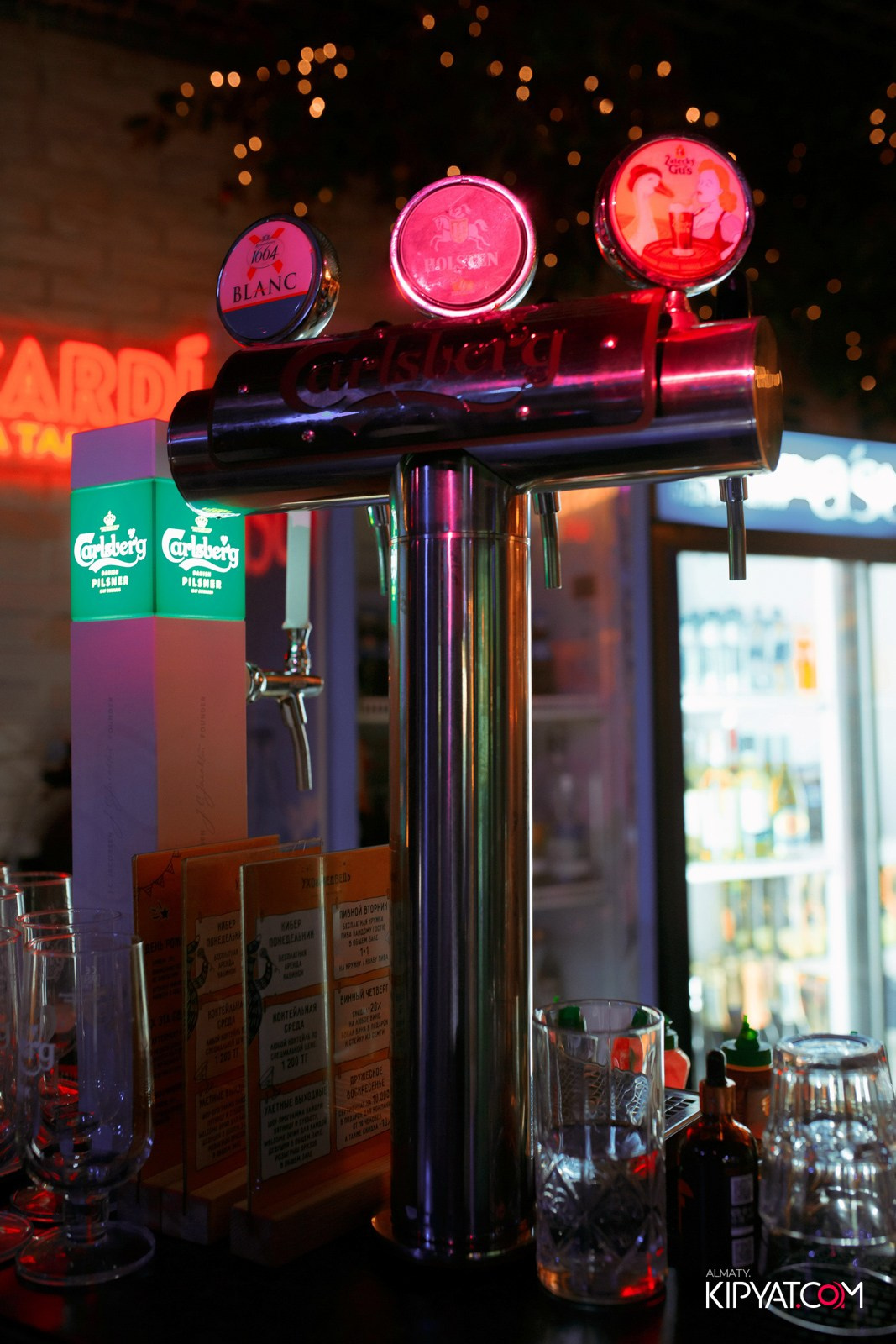 УХО И МЕДВЕДЬ НА САИНА. КИПЯТКОМ АЛМАТЫ!