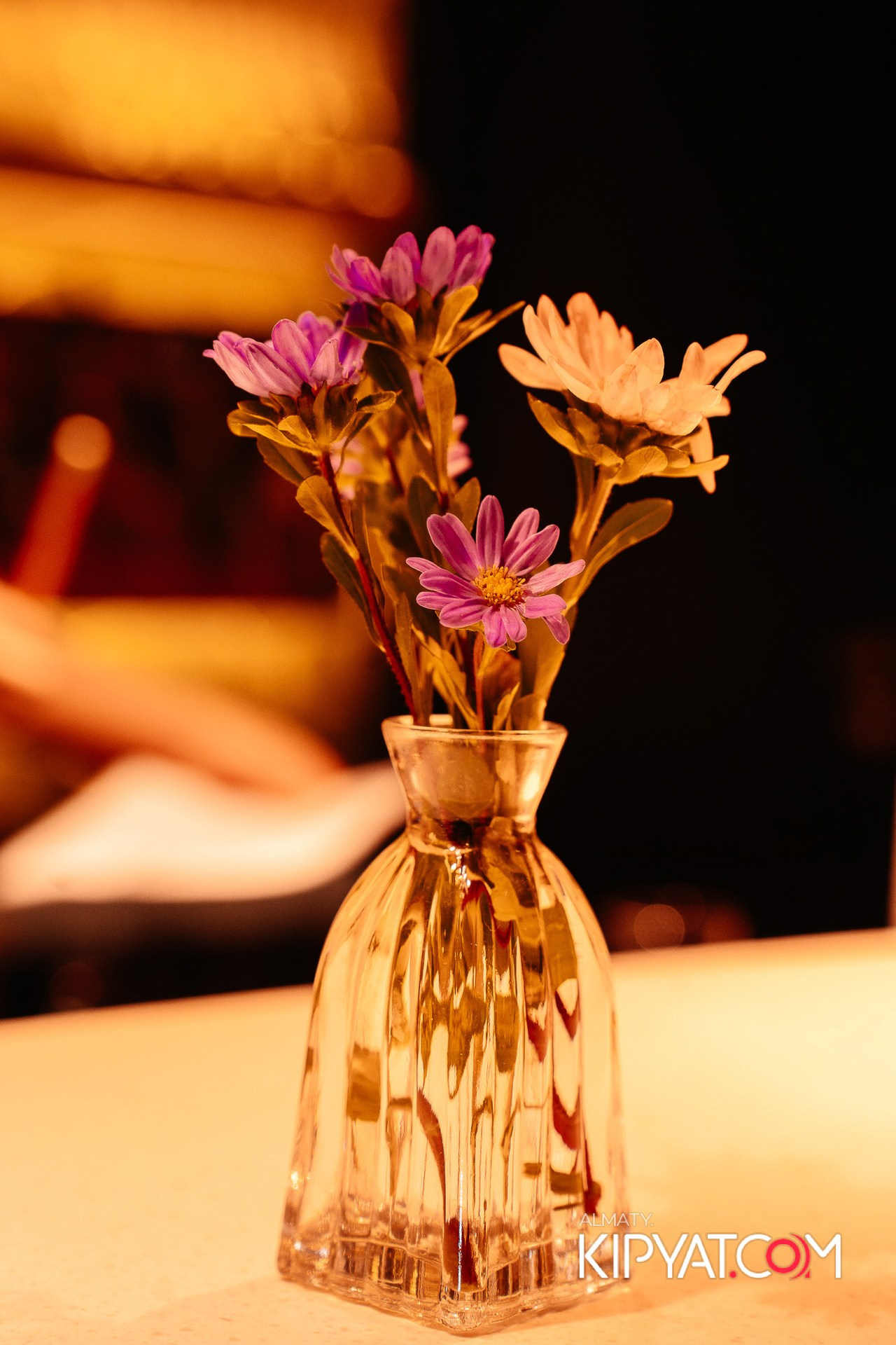 Пинта Premium. КИПЯТКОМ АЛМАТЫ!