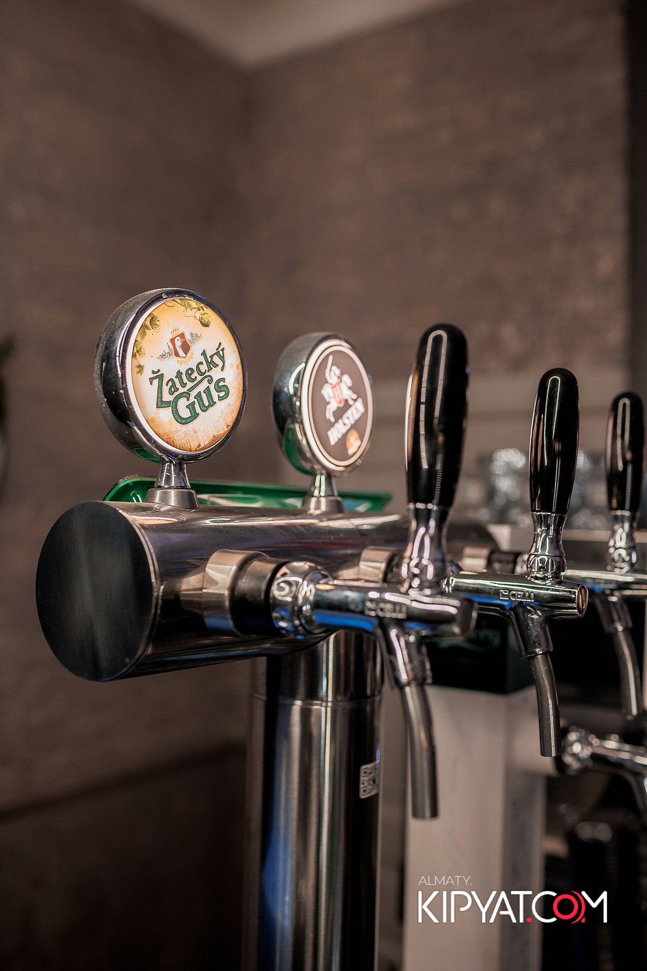 УХО И МЕДВЕДЬ НА ГАГАРИНА. КИПЯТКОМ АЛМАТЫ!