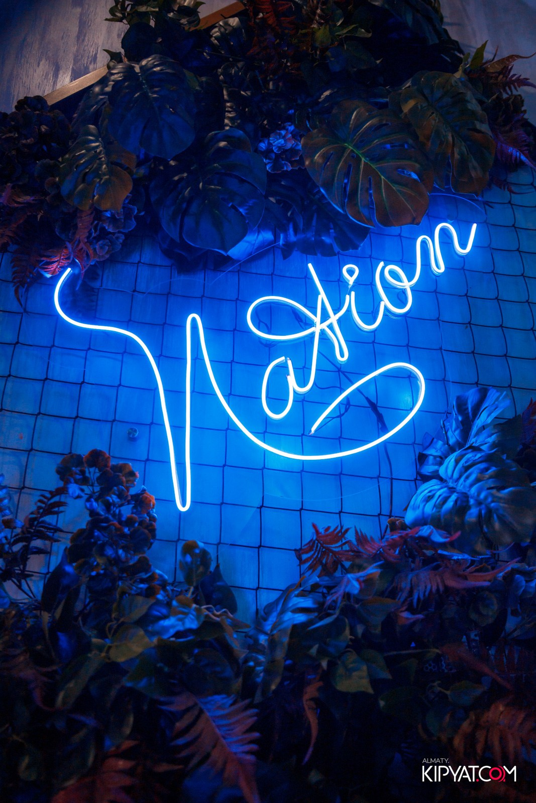 ДОРОГАЯ Я НЕ ПИЛ. КИПЯТКОМ АЛМАТЫ!