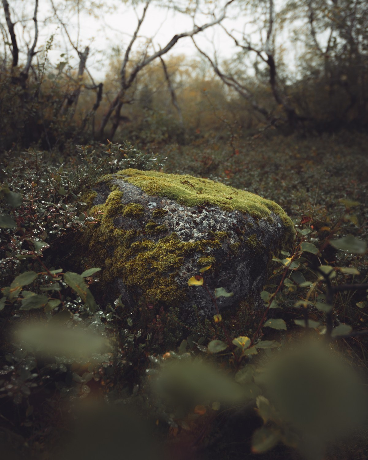 ХИБИНЫ. Пейзажный и тревел-фотограф Алексей Соколенко