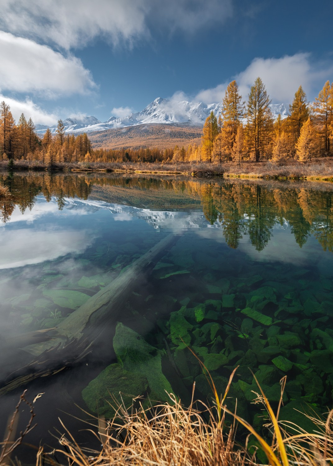 Осенний Горный Алтай. Профессиональный пейзажный фотограф Алёна Рубан