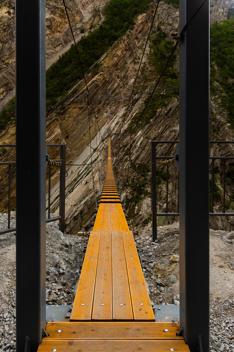 Главрыба. Photomantis