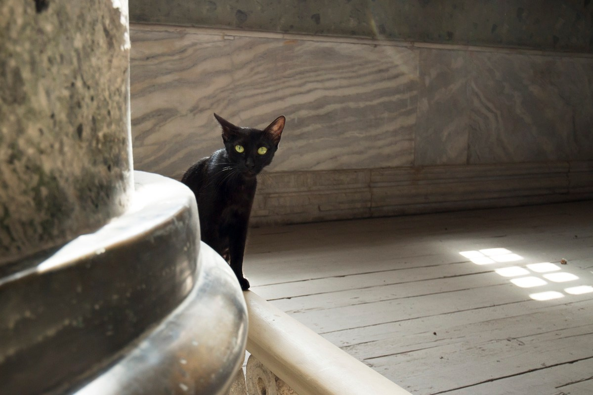 Стамбул, Турция, 2014. Фотограф Василий Буланов