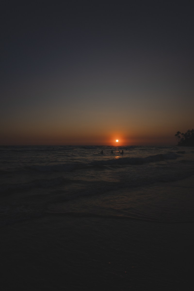 Шри-ланка. Ретрит «Bodу.Mind.Soul» Март 2024 Фото. Профессиональный фотограф Татьяна Евглевская