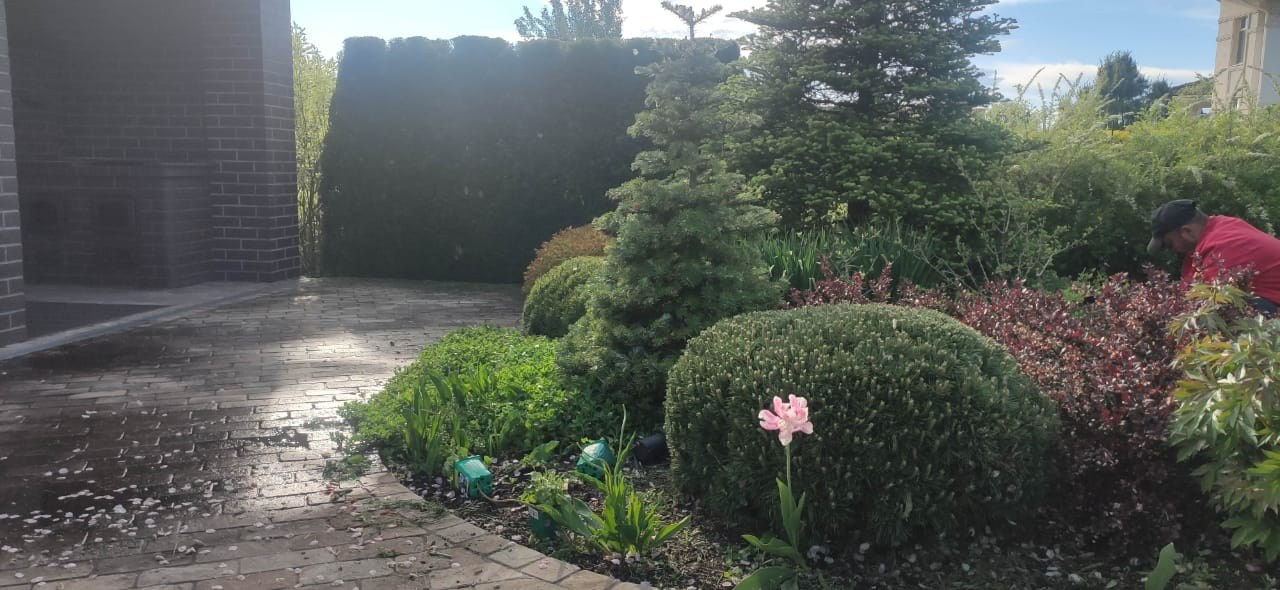 Топиарная стрижка. Все виды ландшафтных и строительных работ