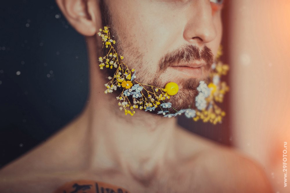 Дима и Тома