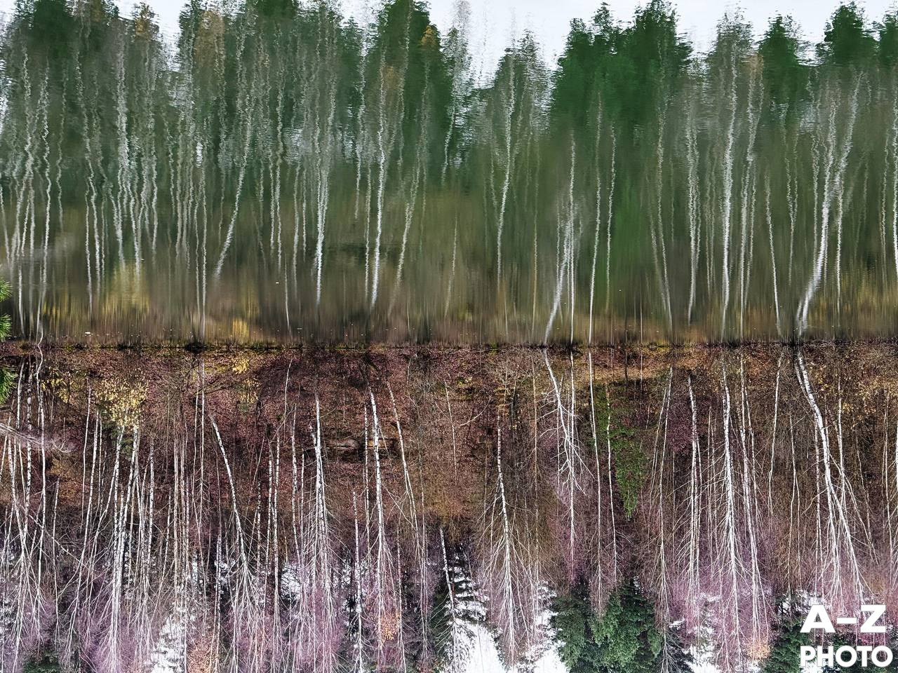 Фотонедели. Женский семейный фотограф Тула Москва Захарова Анна