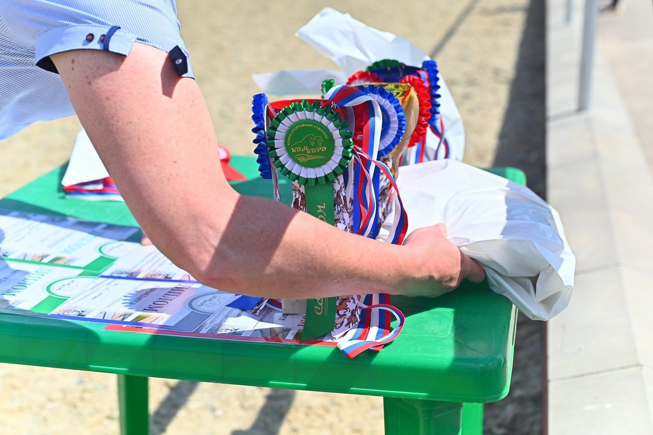 Отзывы. ТУРНИРНАЯ КОННАЯ ФОТОГРАФИЯ, Руднева Ольга и Евгений Адеев