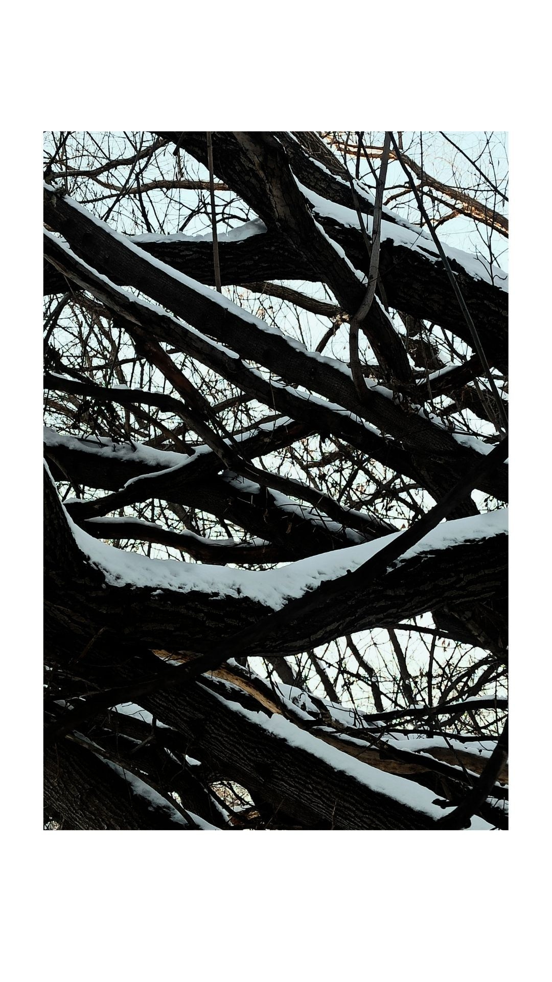 Зима по-сибирски. Главная