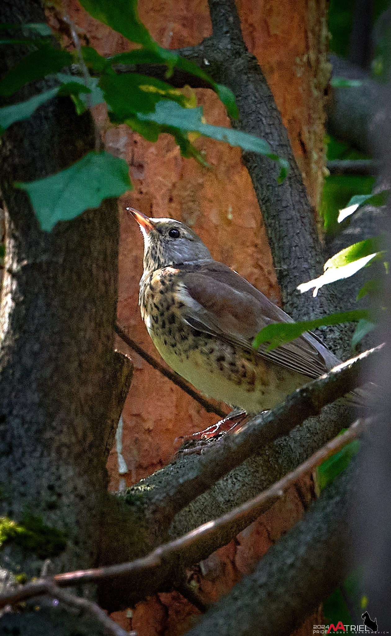 Фотопрогулка на природе
