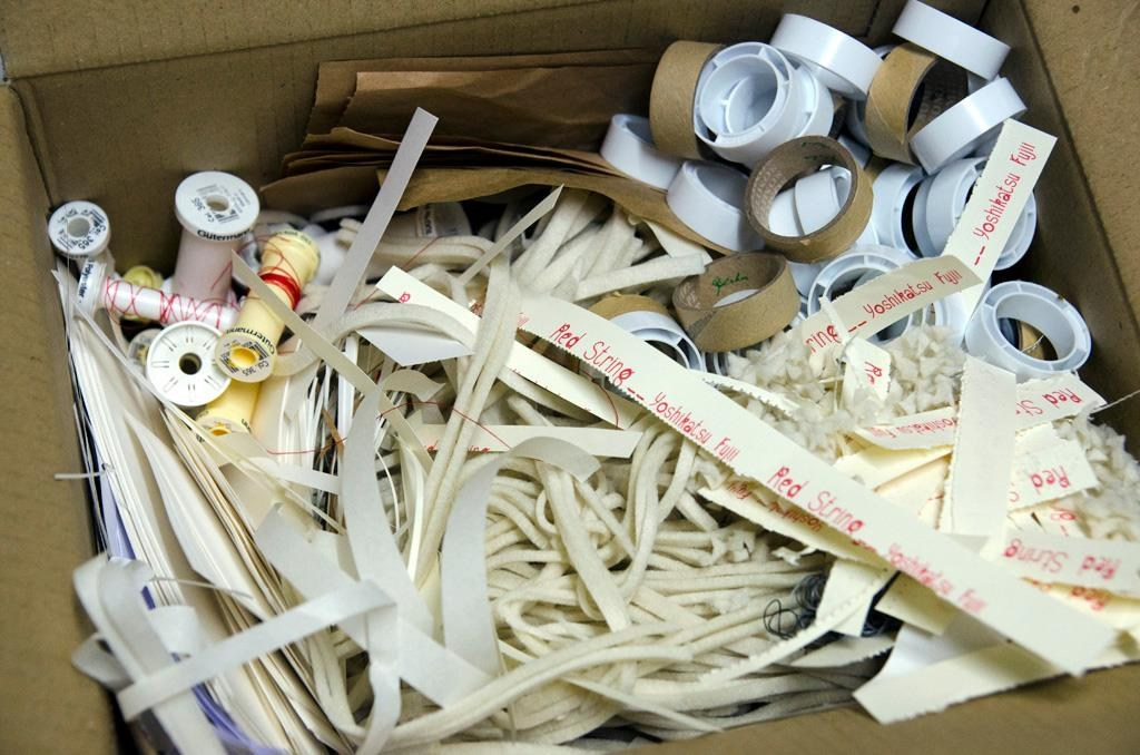 ИНТЕРВЬЮ С АВТОРАМИ: Ёсикацу Фудзии. Самоорганизация Низина