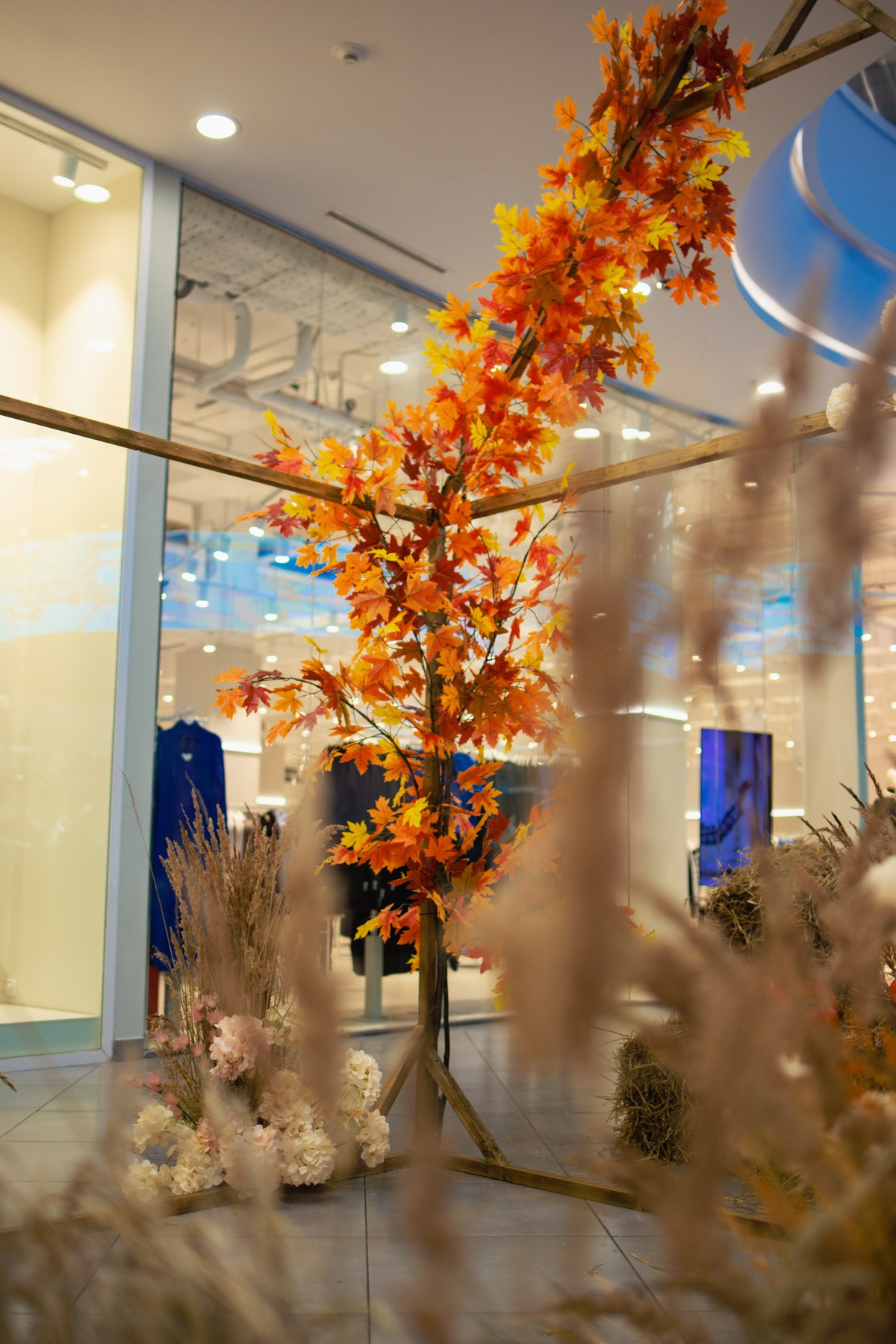 Осеннее чаепитие в ТЦ Хорошо!. Репортажный и концертный фотограф в Москве Анастасия Осень